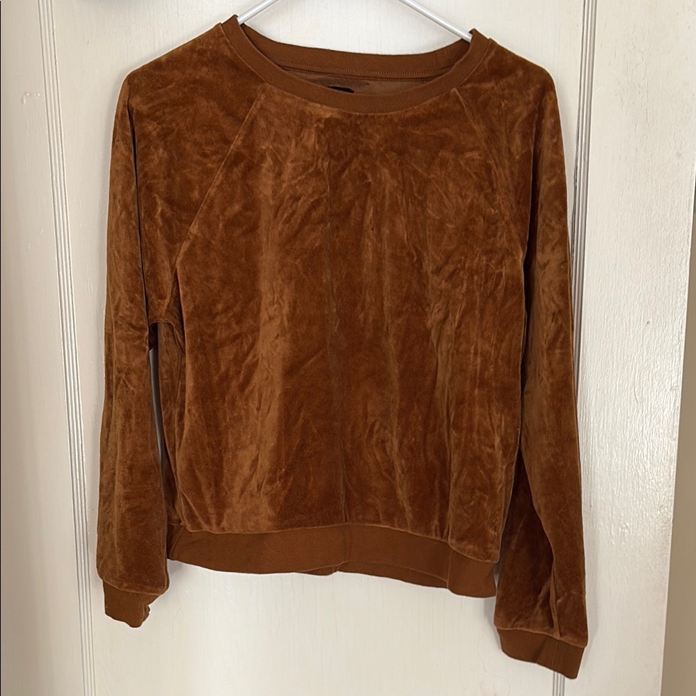 GAP Plush Velvet Crewneck Sweatshirt - Brown